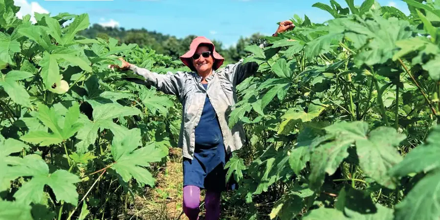 Dona Enésia, Agricultura, Buritis